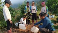 Đánh thức khát vọng thoát nghèo: [Bài 3] Giấc mơ xanh trên đất dốc