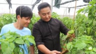 Nông sản công nghệ cao vươn xứ sở kim chi