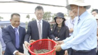 Độc đáo mô hình nuôi tôm tiết kiệm năng lượng