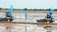 Khởi động mô hình lúa giảm phát thải cho nông dân Khmer