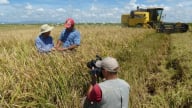 Cú hích thay đổi phương pháp sản xuất nông nghiệp ở Cuba