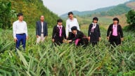 Cây ăn quả - 'ngôi sao' trong nông nghiệp Bảo Thắng