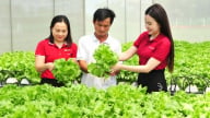 Ngân hàng 'hà hơi tiếp sức' giúp nông dân làm giàu