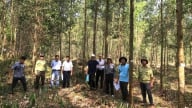 Đưa khoa học vào rừng trồng, hiệu quả nhân đôi
