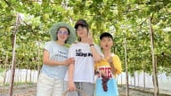 Khánh Hòa tạo cú hích cho du lịch nông nghiệp