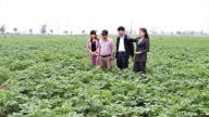 Hơn 1.000 tỷ đồng đầu tư cho khuyến nông Hà Nội giai đoạn 2026 - 2030