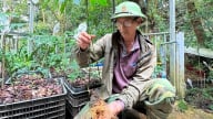 Bước tiến lớn mở đường cho trung tâm công nghiệp dược liệu quốc gia