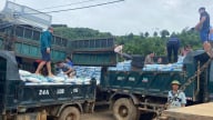 Cấp trên 63 tấn phân bón hữu cơ cho các hộ trồng quế