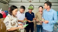 Cấp phát 10.000 gói thuốc diệt chuột bảo vệ lúa vụ mùa