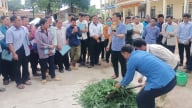 Tập huấn kỹ thuật phát triển sinh kế cho đồng bào dân tộc thiểu số