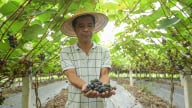 Từ vùng đất dốc cằn đến những chuyến bay xuất khẩu nông sản