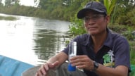 Sốc môi trường - Nỗi lo thường trực của người nuôi tôm quảng canh