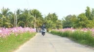 Diện mạo nông thôn mới Kiên Giang từ chương trình mục tiêu quốc gia