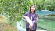 Người mở lối đi riêng cho loài cá đặc sản miền Tây