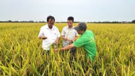 Châu Phong cụ thể hóa mục tiêu nông thôn mới nâng cao