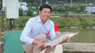 Mô hình sông trong ao - giải pháp tối ưu trong nuôi cá tầm