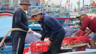 Thiếu hụt lao động nghiêm trọng, nghề biển đối mặt nhiều khó khăn