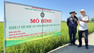 Tăng hiệu quả sản xuất, bảo vệ môi trường từ mô hình IPHM