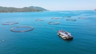 Hợp tác Việt - Úc xây dựng chính sách bảo tổn biển và đại dương