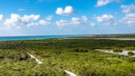 UNESCO hỗ trợ cộng đồng bảo vệ khu dự trữ sinh quyển tại Mexico