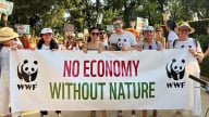 WWF: Khó hiện thực hóa mục tiêu bền vững nếu bỏ qua thiên nhiên