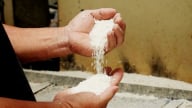 Giá lúa gạo hôm nay 6/5/2025: Gạo tăng giá nhẹ