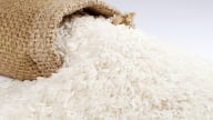 Giá lúa gạo hôm nay 20/5/2025: Biến động nhẹ