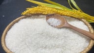 Giá lúa gạo hôm nay 9/5/2025: Biến động nhẹ