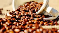 Giá cà phê hôm nay 20/6/2025: Arabica vẫn lao dốc