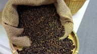 Giá tiêu hôm nay 5/6/2025: Thế giới giảm mạnh