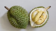 Lào mở rộng diện tích trồng sầu riêng nhằm xuất khẩu sang Trung Quốc