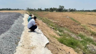 Lúa chết hàng loạt cạnh cao tốc, Phó Thủ tướng chỉ đạo bồi thường cho dân