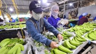 Nông sản giữ vai trụ cột xuất khẩu trong 4 tháng đầu năm