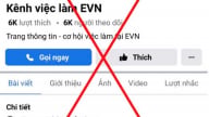 Fanpage tuyển dụng giả mạo thương hiệu Tập đoàn Điện lực Việt Nam