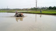 Quảng Ngãi không chủ quan nguy cơ hạn trong vụ hè thu