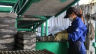 Tháo gỡ rào cản trong phát triển vật liệu xanh