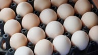 Cần xử lý nghiêm đối tượng đưa tin sai sự thật về trứng gà giả