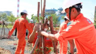 Nhiệt điện Vĩnh Tân 2 trồng thêm hơn 300 cây xanh