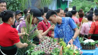 Phiêng Khoài rộn ràng ngày hội hái mận lần thứ nhất