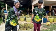 Trung Quốc tăng nhập khẩu sầu riêng 3 tháng liên tiếp
