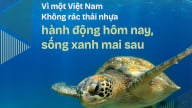 Giới thiệu Bộ nhận diện Ngày Môi trường thế giới (5/6/2025)