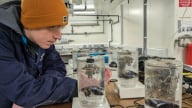 Anh thử nghiệm thu giữ carbon trên biển để ứng phó với biến đổi khí hậu