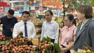 Vải thiều Lục Ngạn đổ bộ TP.HCM, chinh phục người tiêu dùng phía Nam