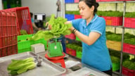 Doanh nghiệp vẫn chưa sẵn sàng thực thi cơ chế CBAM