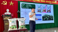 JVF giúp nông dân nhận biết phân bón thật - giả, bón phân đúng & đủ