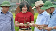 Những người thầm lặng vì bữa cơm 'không đường'