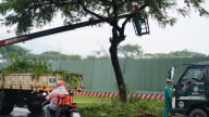 Mưa lớn, Đà Nẵng huy động toàn lực chống ngập