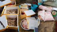 Đà Nẵng thu giữ 3,5 tấn nội tạng động vật không rõ nguồn gốc