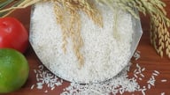Giá lúa gạo hôm nay 17/6/2025: Gạo nhích nhẹ trở lại