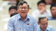 Cần giải pháp tầm quốc gia chống hàng giả, thực phẩm bẩn